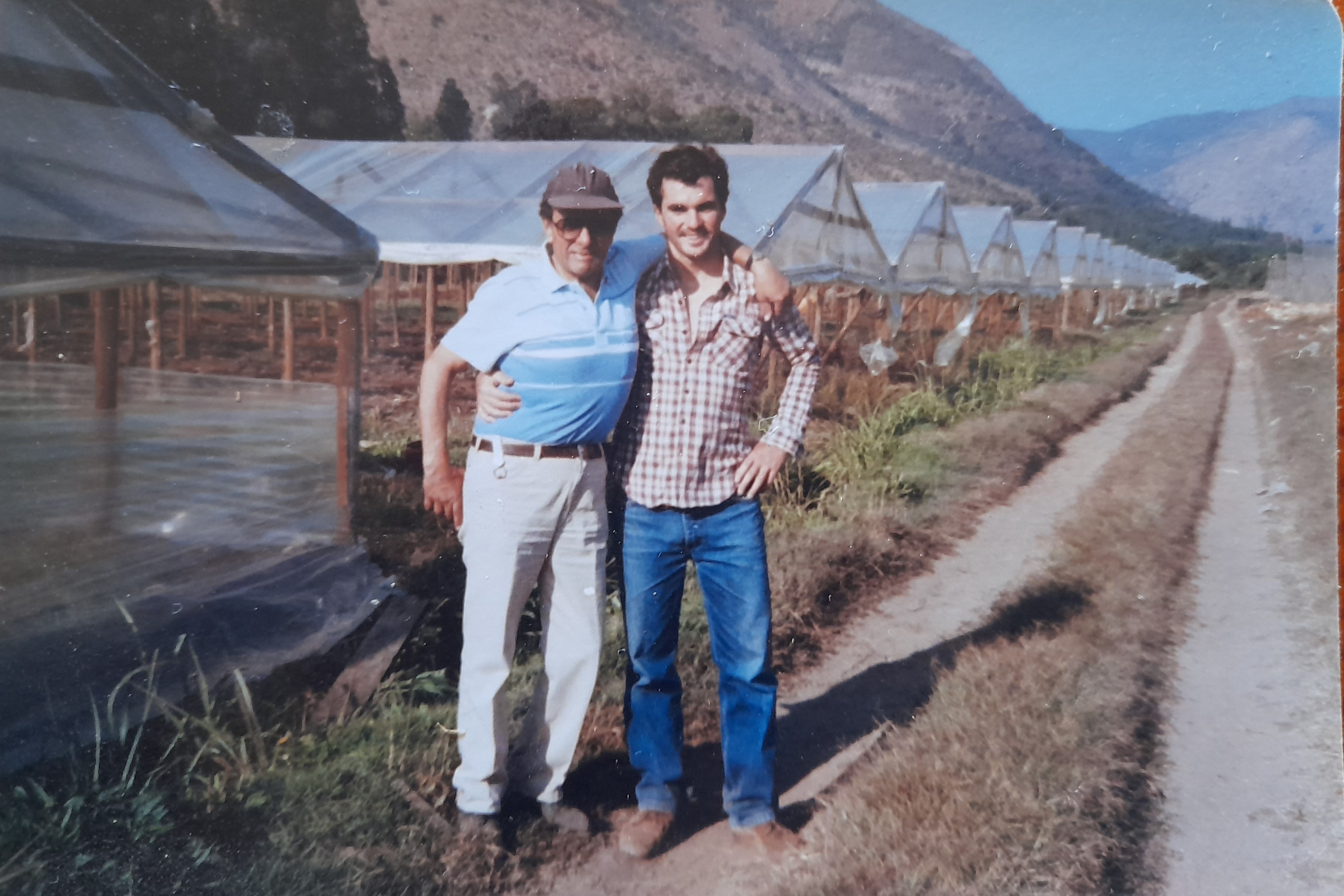 Invernaderos junio 1989