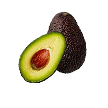 palta hass