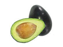 palta negra de la cruz